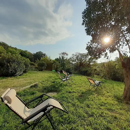 Dimora Il Camaleonte In Nature With Pool