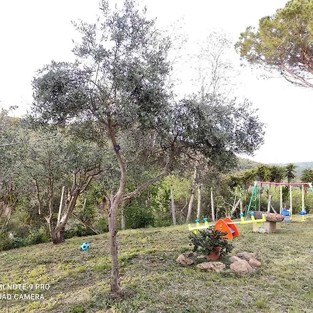 Dimora Il Camaleonte In Nature With Pool Country house Civitavecchia