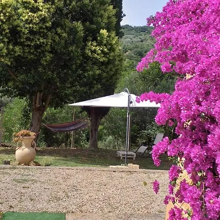 Dimora Il Camaleonte In Nature With Pool Country house