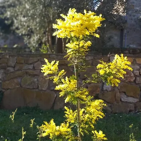 Dimora Il Camaleonte In Nature With Pool Country house *