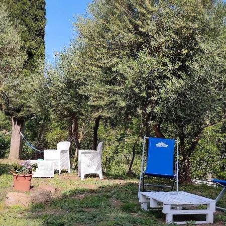 Dimora Il Camaleonte In Nature With Pool * Civitavecchia
